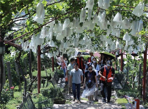 海外华媒代表走进凉山 聚焦侨企助力乡村振兴