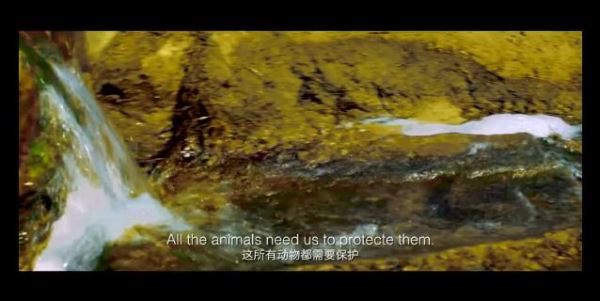 “十五的月亮十六圆”相约艺尚中非民间风情展暨美酒品鉴会顺利举行 “十五的月亮十六圆”相约艺尚中非民间风情展暨美酒品鉴会顺利举行