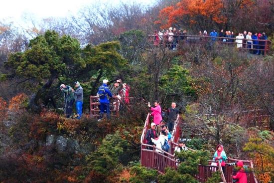 图为光雾山红叶吸引八方游人。巴中文旅供 图为光雾山红叶吸引八方游人。巴中文旅供