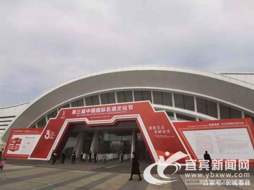 以酒为媒 中外嘉宾点赞宜宾酒文化