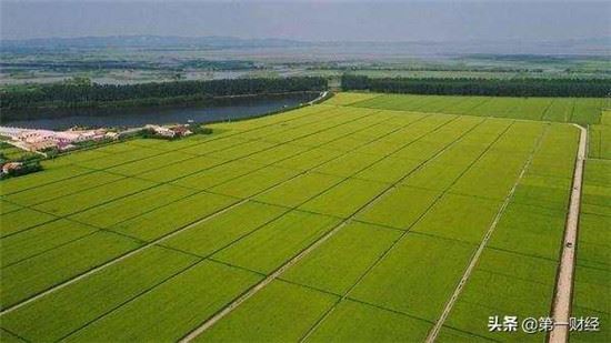 粮食必须绝对掌控在自己手上 粮食必须绝对掌控在自己手上