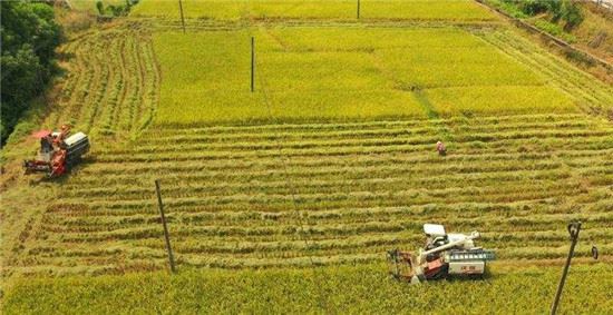 粮食必须绝对掌控在自己手上 粮食必须绝对掌控在自己手上
